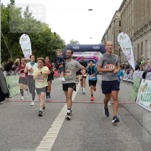 06.09.2026 - CURREX Alsterlauf Yannick Fuchs http://msf.ph/oto/10118396 06.09.2026 09:59:48 Ziel 2269, 2660, 2676, 3119, 3120, 3414, 4042, 4209, 4323, 4324, 4498, 4889, 4916, 5055, 5056, 5154, 5229, 5269, 5497, 5800, 6017, 6148, 6244, 6268 meine-sportfotos.de