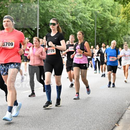 06.09.2026 - CURREX Alsterlauf Dr. Thomas Lammeyer http://msf.ph/oto/10118406 06.09.2026 09:17:08 Laufen 26, 50, 4934, 709, 5363, 2725, 324, 4948, 6387, 2262 meine-sportfotos.de