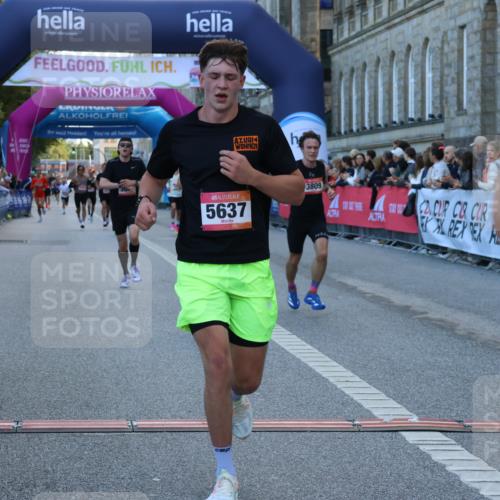 06.09.2026 - CURREX Alsterlauf Strokosch-Dieckow http://msf.ph/oto/10120438 06.09.2026 09:37:30 Ziel 2391, 3040, 3809, 5637, 6057, 6226, 6238 meine-sportfotos.de
