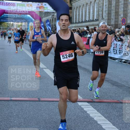 06.09.2026 - CURREX Alsterlauf Strokosch-Dieckow http://msf.ph/oto/10121713 06.09.2026 09:39:28 Ziel 2739, 3270, 3759, 3972, 4163, 4698, 4866, 5246, 5334, 5339, 5639, 5803, 5967 meine-sportfotos.de