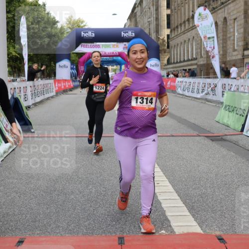 06.09.2026 - CURREX Alsterlauf Strokosch-Dieckow http://msf.ph/oto/10121973 06.09.2026 12:06:02 Ziel 1205, 1206, 1224, 1235, 1301, 1314 meine-sportfotos.de