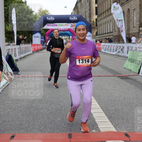 06.09.2026 - CURREX Alsterlauf Strokosch-Dieckow http://msf.ph/oto/10121981 06.09.2026 12:06:02 Ziel 1205, 1206, 1224, 1235, 1301, 1314 meine-sportfotos.de