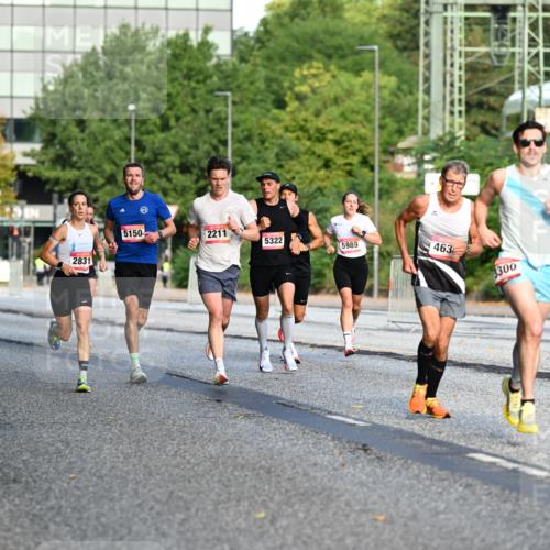 06.09.2026 - CURREX Alsterlauf Dr. Thomas Lammeyer http://msf.ph/oto/10122368 06.09.2026 09:37:36 Laufen 5150, 2211, 5322, 5302, 5989, 463, 2831, 3300 meine-sportfotos.de