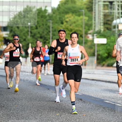 06.09.2026 - CURREX Alsterlauf Dr. Thomas Lammeyer http://msf.ph/oto/10122395 06.09.2026 09:37:39 Laufen 5302, 53, 2831, 2211, 0, 89 meine-sportfotos.de