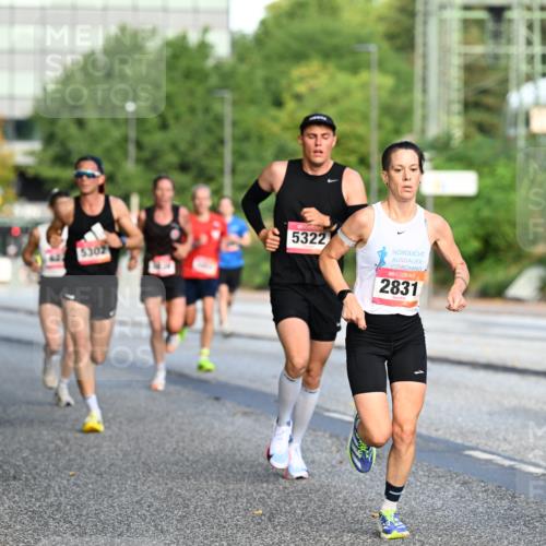 06.09.2026 - CURREX Alsterlauf Dr. Thomas Lammeyer http://msf.ph/oto/10122400 06.09.2026 09:37:40 Laufen 5302, 5322, 2831, 2299 meine-sportfotos.de
