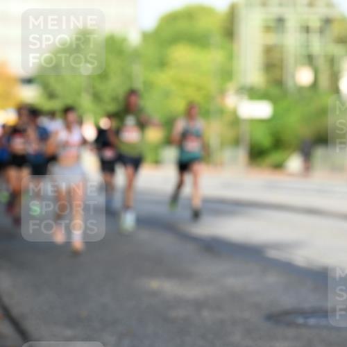 06.09.2026 - CURREX Alsterlauf Dr. Thomas Lammeyer http://msf.ph/oto/10123337 06.09.2026 09:39:26 Laufen  meine-sportfotos.de
