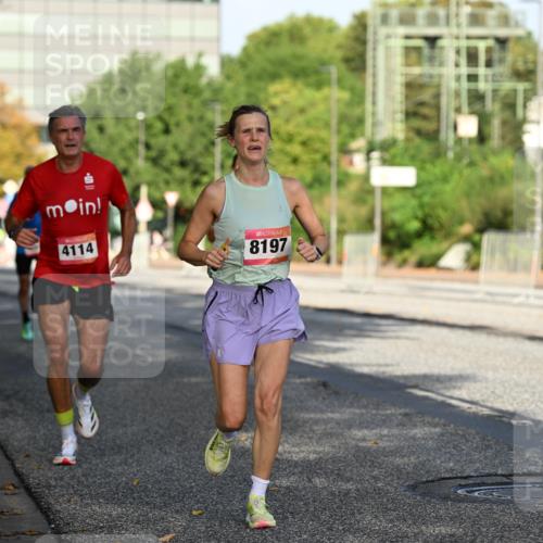 06.09.2026 - CURREX Alsterlauf Dr. Thomas Lammeyer http://msf.ph/oto/10123414 06.09.2026 09:39:36 Laufen 4114, 8197 meine-sportfotos.de