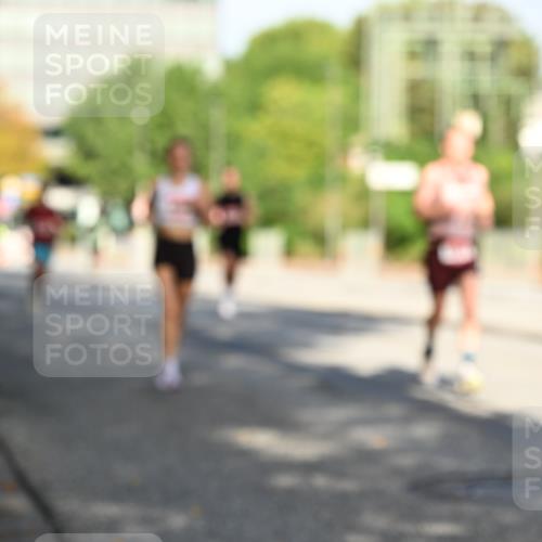 06.09.2026 - CURREX Alsterlauf Dr. Thomas Lammeyer http://msf.ph/oto/10123542 06.09.2026 09:39:50 Laufen  meine-sportfotos.de