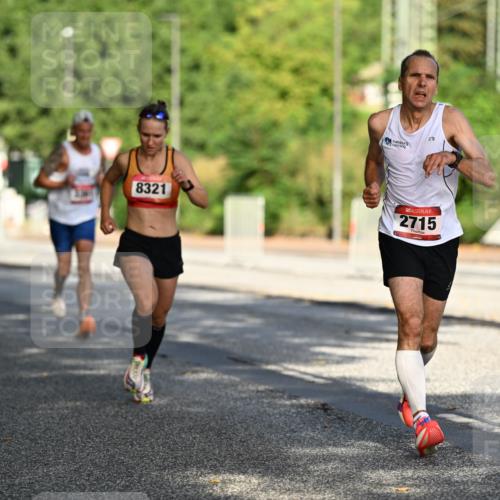 06.09.2026 - CURREX Alsterlauf Dr. Thomas Lammeyer http://msf.ph/oto/10123699 06.09.2026 09:40:09 Laufen 8321, 2715 meine-sportfotos.de