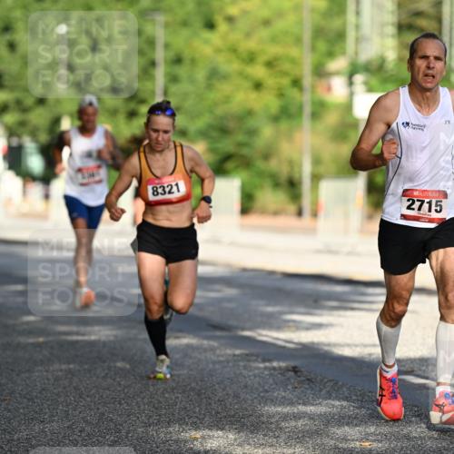 06.09.2026 - CURREX Alsterlauf Dr. Thomas Lammeyer http://msf.ph/oto/10123703 06.09.2026 09:40:10 Laufen 8321, 2715, 6 meine-sportfotos.de