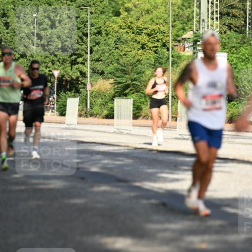 06.09.2026 - CURREX Alsterlauf Dr. Thomas Lammeyer http://msf.ph/oto/10123728 06.09.2026 09:40:12 Laufen 287, 6 meine-sportfotos.de
