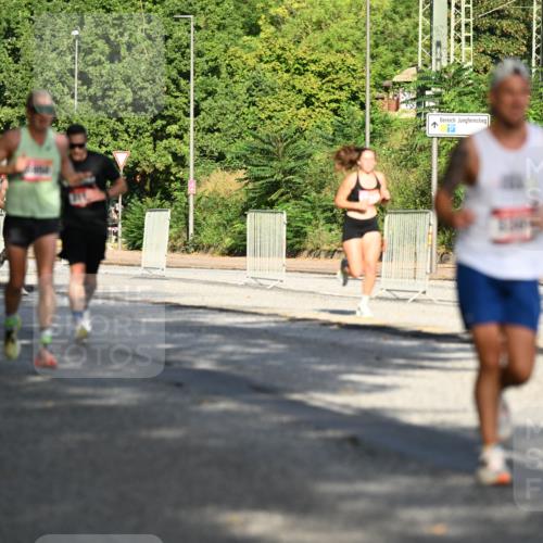 06.09.2026 - CURREX Alsterlauf Dr. Thomas Lammeyer http://msf.ph/oto/10123731 06.09.2026 09:40:12 Laufen 287, 6 meine-sportfotos.de