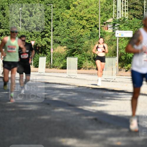 06.09.2026 - CURREX Alsterlauf Dr. Thomas Lammeyer http://msf.ph/oto/10123732 06.09.2026 09:40:13 Laufen 287, 6 meine-sportfotos.de