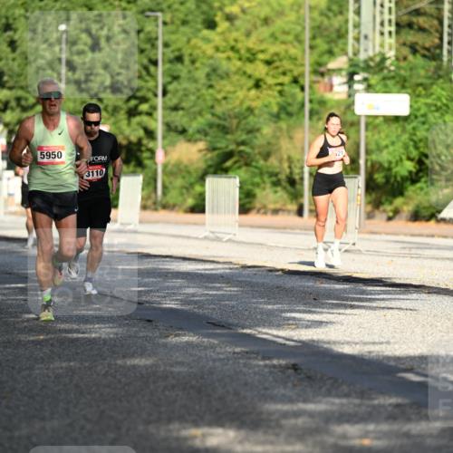 06.09.2026 - CURREX Alsterlauf Dr. Thomas Lammeyer http://msf.ph/oto/10123734 06.09.2026 09:40:13 Laufen 3753, 5950, 3110, 121, 3361 meine-sportfotos.de