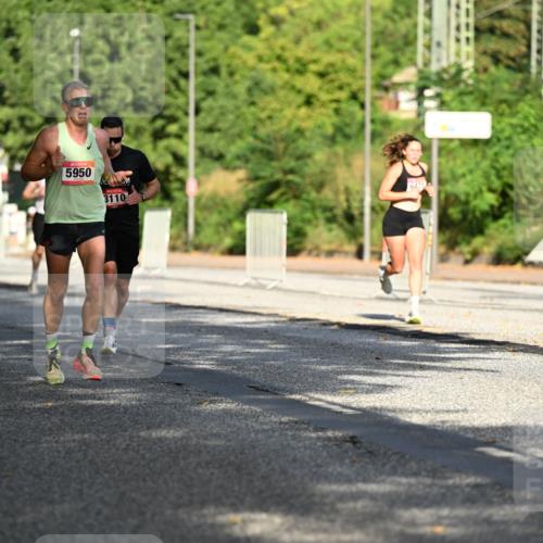 06.09.2026 - CURREX Alsterlauf Dr. Thomas Lammeyer http://msf.ph/oto/10123737 06.09.2026 09:40:13 Laufen 3753, 5950, 3110 meine-sportfotos.de