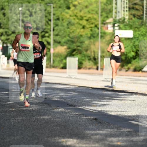 06.09.2026 - CURREX Alsterlauf Dr. Thomas Lammeyer http://msf.ph/oto/10123739 06.09.2026 09:40:13 Laufen 753, 5950, 3110 meine-sportfotos.de