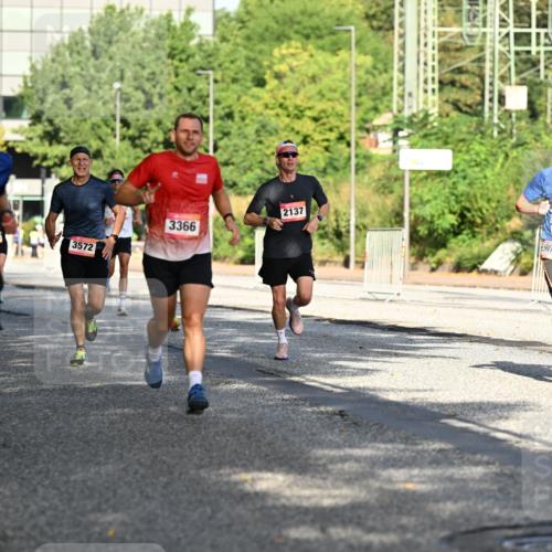 06.09.2026 - CURREX Alsterlauf Dr. Thomas Lammeyer http://msf.ph/oto/10123849 06.09.2026 09:40:26 Laufen 5776, 3572, 3366, 2137, 963 meine-sportfotos.de