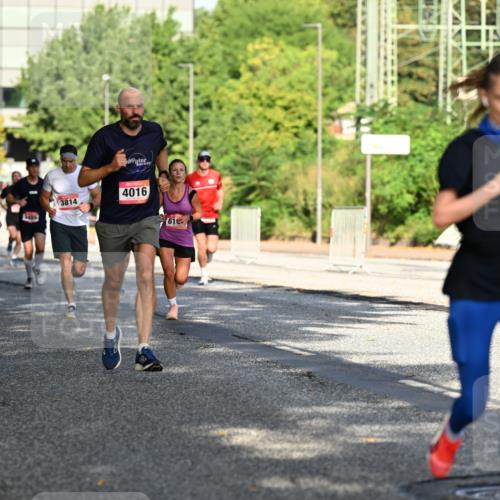 06.09.2026 - CURREX Alsterlauf Dr. Thomas Lammeyer http://msf.ph/oto/10123966 06.09.2026 09:40:37 Laufen 4505, 3814, 4016, 61 meine-sportfotos.de