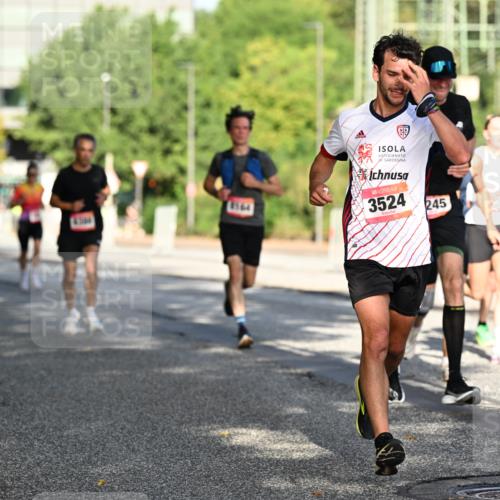 06.09.2026 - CURREX Alsterlauf Dr. Thomas Lammeyer http://msf.ph/oto/10124045 06.09.2026 09:40:46 Laufen 4164, 3524, 245 meine-sportfotos.de