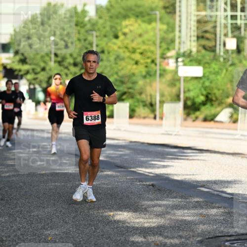 06.09.2026 - CURREX Alsterlauf Dr. Thomas Lammeyer http://msf.ph/oto/10124067 06.09.2026 09:40:49 Laufen 6388, 164 meine-sportfotos.de