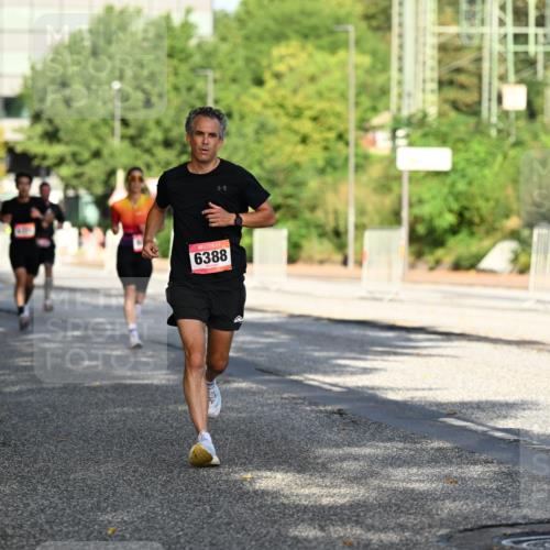06.09.2026 - CURREX Alsterlauf Dr. Thomas Lammeyer http://msf.ph/oto/10124070 06.09.2026 09:40:49 Laufen 6388, 8164 meine-sportfotos.de
