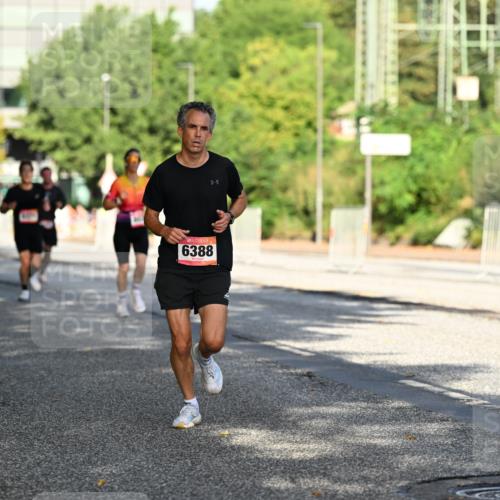06.09.2026 - CURREX Alsterlauf Dr. Thomas Lammeyer http://msf.ph/oto/10124071 06.09.2026 09:40:49 Laufen 6388, 8164 meine-sportfotos.de