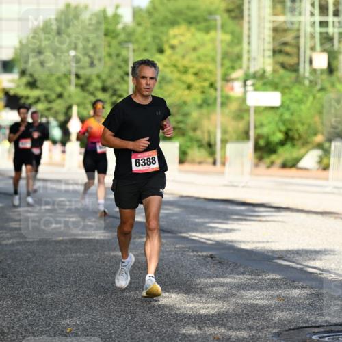06.09.2026 - CURREX Alsterlauf Dr. Thomas Lammeyer http://msf.ph/oto/10124073 06.09.2026 09:40:49 Laufen 6388 meine-sportfotos.de