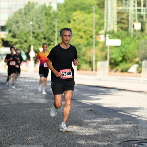 06.09.2026 - CURREX Alsterlauf Dr. Thomas Lammeyer http://msf.ph/oto/10124075 06.09.2026 09:40:49 Laufen 6388 meine-sportfotos.de