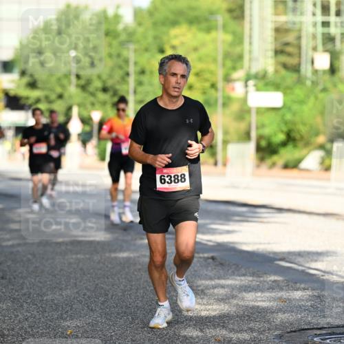 06.09.2026 - CURREX Alsterlauf Dr. Thomas Lammeyer http://msf.ph/oto/10124080 06.09.2026 09:40:50 Laufen 6388 meine-sportfotos.de