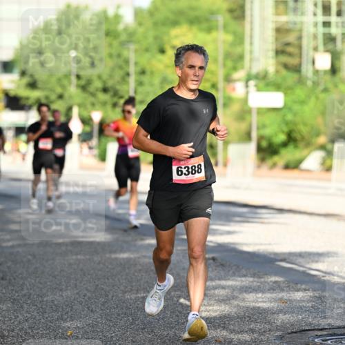 06.09.2026 - CURREX Alsterlauf Dr. Thomas Lammeyer http://msf.ph/oto/10124081 06.09.2026 09:40:50 Laufen 6388 meine-sportfotos.de