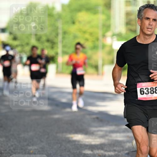 06.09.2026 - CURREX Alsterlauf Dr. Thomas Lammeyer http://msf.ph/oto/10124090 06.09.2026 09:40:51 Laufen 11, 6388 meine-sportfotos.de