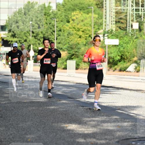 06.09.2026 - CURREX Alsterlauf Dr. Thomas Lammeyer http://msf.ph/oto/10124095 06.09.2026 09:40:52 Laufen 5370, 4443, 6371, 397, 803 meine-sportfotos.de
