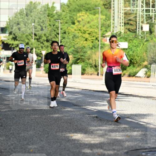 06.09.2026 - CURREX Alsterlauf Dr. Thomas Lammeyer http://msf.ph/oto/10124100 06.09.2026 09:40:52 Laufen 5370, 4443, 6371, 392, 8036 meine-sportfotos.de