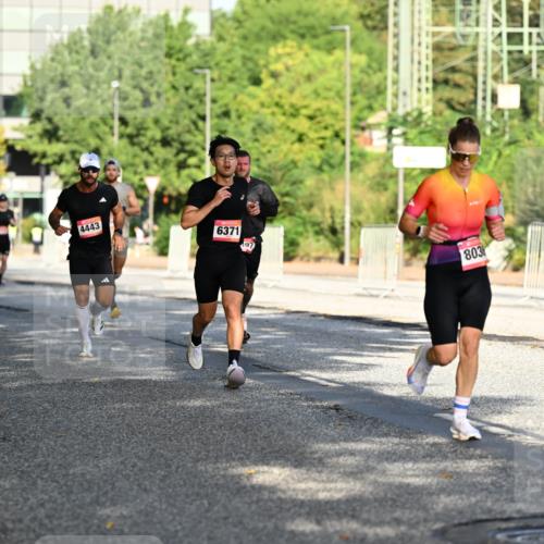 06.09.2026 - CURREX Alsterlauf Dr. Thomas Lammeyer http://msf.ph/oto/10124104 06.09.2026 09:40:52 Laufen 5370, 4443, 6371, 803 meine-sportfotos.de