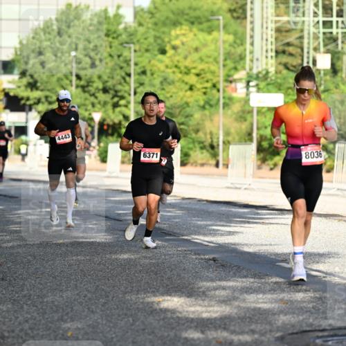 06.09.2026 - CURREX Alsterlauf Dr. Thomas Lammeyer http://msf.ph/oto/10124106 06.09.2026 09:40:52 Laufen 4443, 6371, 8036 meine-sportfotos.de