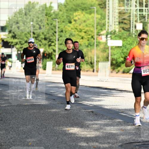 06.09.2026 - CURREX Alsterlauf Dr. Thomas Lammeyer http://msf.ph/oto/10124109 06.09.2026 09:40:53 Laufen 4443, 6371, 8036 meine-sportfotos.de