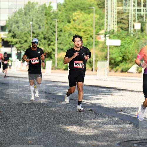 06.09.2026 - CURREX Alsterlauf Dr. Thomas Lammeyer http://msf.ph/oto/10124114 06.09.2026 09:40:53 Laufen 4443, 6371, 803 meine-sportfotos.de