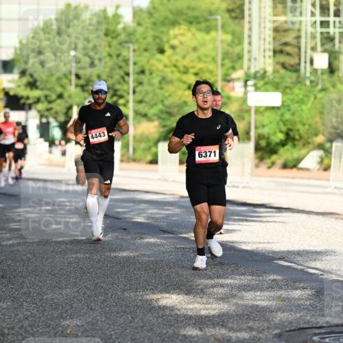 06.09.2026 - CURREX Alsterlauf Dr. Thomas Lammeyer http://msf.ph/oto/10124118 06.09.2026 09:40:53 Laufen 4443, 6371, 803 meine-sportfotos.de