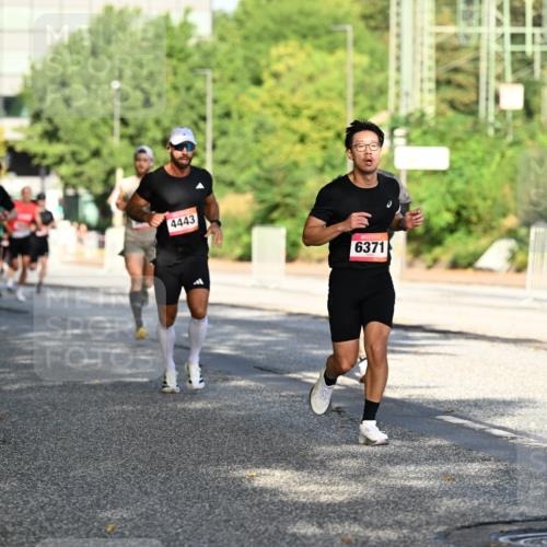 06.09.2026 - CURREX Alsterlauf Dr. Thomas Lammeyer http://msf.ph/oto/10124121 06.09.2026 09:40:54 Laufen 4443, 6371 meine-sportfotos.de