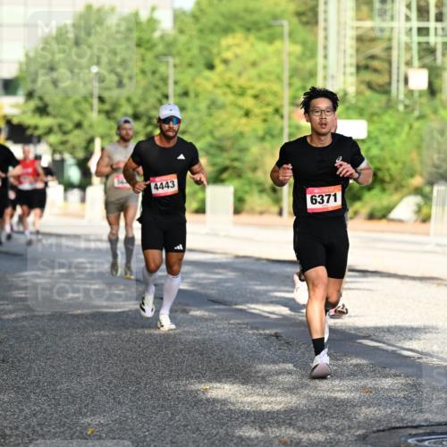 06.09.2026 - CURREX Alsterlauf Dr. Thomas Lammeyer http://msf.ph/oto/10124125 06.09.2026 09:40:54 Laufen 4443, 6371 meine-sportfotos.de