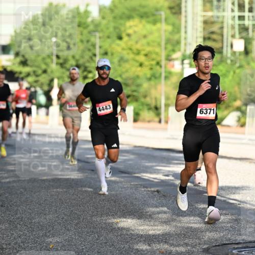 06.09.2026 - CURREX Alsterlauf Dr. Thomas Lammeyer http://msf.ph/oto/10124129 06.09.2026 09:40:54 Laufen 4443, 6371 meine-sportfotos.de