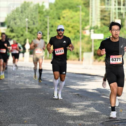 06.09.2026 - CURREX Alsterlauf Dr. Thomas Lammeyer http://msf.ph/oto/10124133 06.09.2026 09:40:54 Laufen 4443, 6371 meine-sportfotos.de