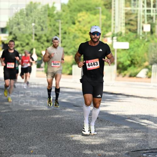 06.09.2026 - CURREX Alsterlauf Dr. Thomas Lammeyer http://msf.ph/oto/10124138 06.09.2026 09:40:55 Laufen 5649, 4443, 6371 meine-sportfotos.de