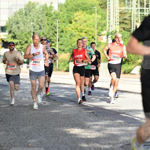 06.09.2026 - CURREX Alsterlauf Dr. Thomas Lammeyer http://msf.ph/oto/10124181 06.09.2026 09:41:00 Laufen 3197, 3960, 5098, 5873, 5370 meine-sportfotos.de