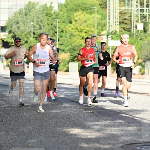 06.09.2026 - CURREX Alsterlauf Dr. Thomas Lammeyer http://msf.ph/oto/10124185 06.09.2026 09:41:00 Laufen 3197, 3960, 5874, 5098, 5873 meine-sportfotos.de