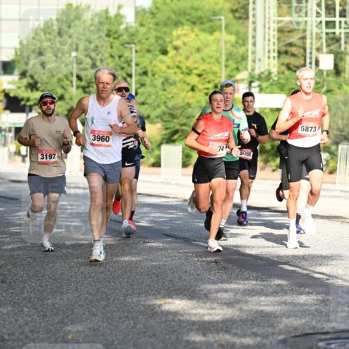06.09.2026 - CURREX Alsterlauf Dr. Thomas Lammeyer http://msf.ph/oto/10124186 06.09.2026 09:41:00 Laufen 3197, 3960, 74, 5098, 5873 meine-sportfotos.de