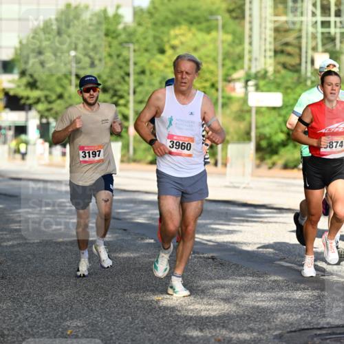 06.09.2026 - CURREX Alsterlauf Dr. Thomas Lammeyer http://msf.ph/oto/10124199 06.09.2026 09:41:02 Laufen 3197, 3960, 874, 098, 3715 meine-sportfotos.de