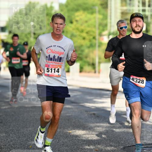 06.09.2026 - CURREX Alsterlauf Dr. Thomas Lammeyer http://msf.ph/oto/10124337 06.09.2026 09:41:19 Laufen 24, 5114, 8328 meine-sportfotos.de