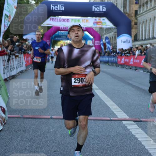 06.09.2026 - CURREX Alsterlauf Strokosch-Dieckow http://msf.ph/oto/10124464 06.09.2026 09:43:16 Ziel 2137, 2907, 3366, 3572, 3753, 4016, 5649, 5776, 5904, 5952, 5955, 5963, 6002, 6104, 8233, 8330 meine-sportfotos.de