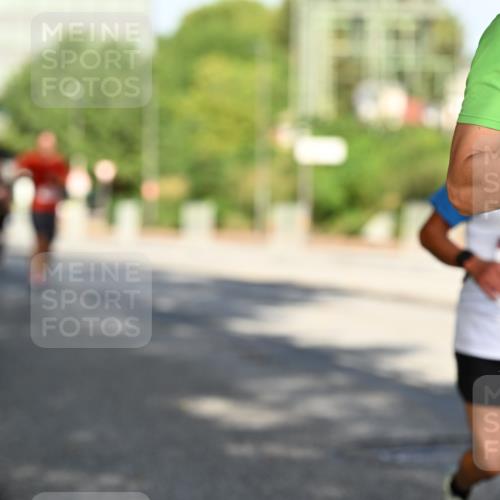 06.09.2026 - CURREX Alsterlauf Dr. Thomas Lammeyer http://msf.ph/oto/10124548 06.09.2026 09:41:46 Laufen 54 meine-sportfotos.de